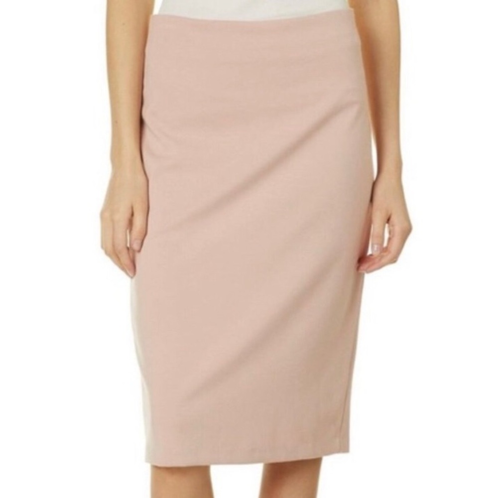 Philosophy Pencil Skirt